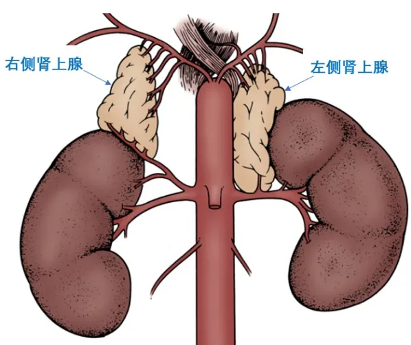 图片002.png